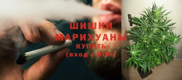 не бодяженный Дмитриев