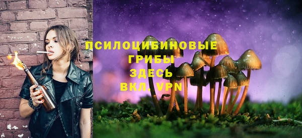 каннабис Дмитров