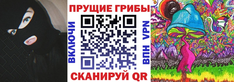 Псилоцибиновые грибы Cubensis mega как войти Сольвычегодск купить