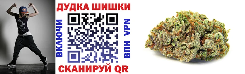 Бошки Шишки конопля  hydra ССЫЛКА  Сольвычегодск 